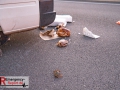 IMG_5718