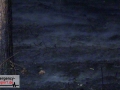 06.08.20-034