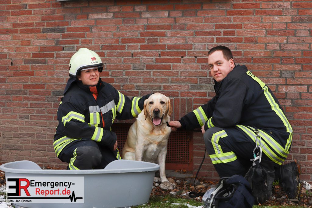 25.01.2019 - Köln Worringen - Feuerwehr rettet Hund aus ...